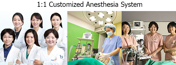 ระบบควบคุมการดมยาสลบ