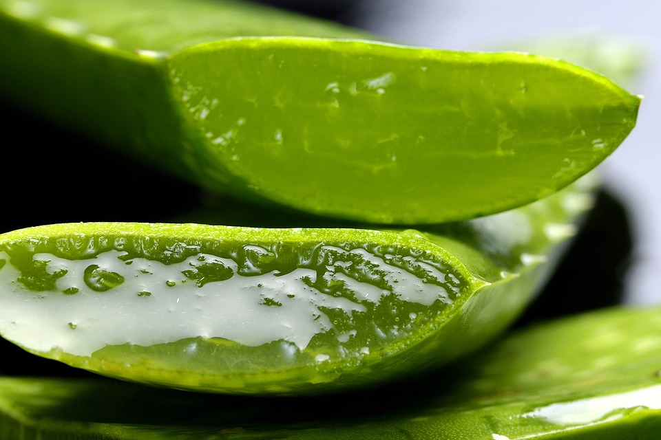 aloe vera ลดรอยสิว